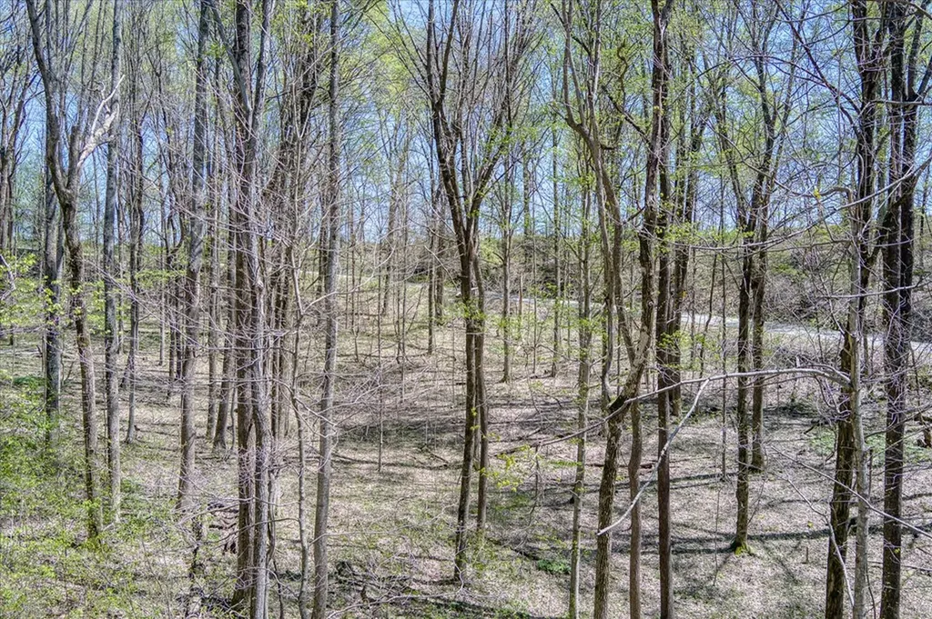 34 Acres Rocky Point Road Cookeville TN 38506
