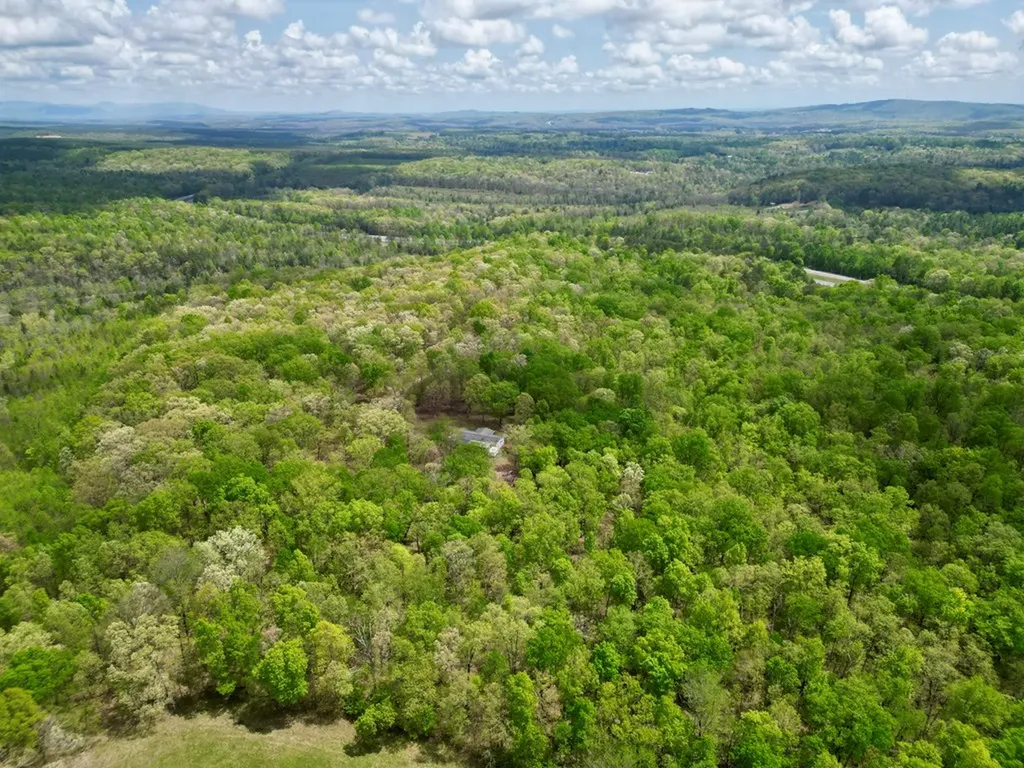 751 Ozone Access Road Rockwood TN 37854