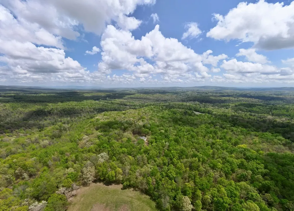 751 Ozone Access Road Rockwood TN 37854