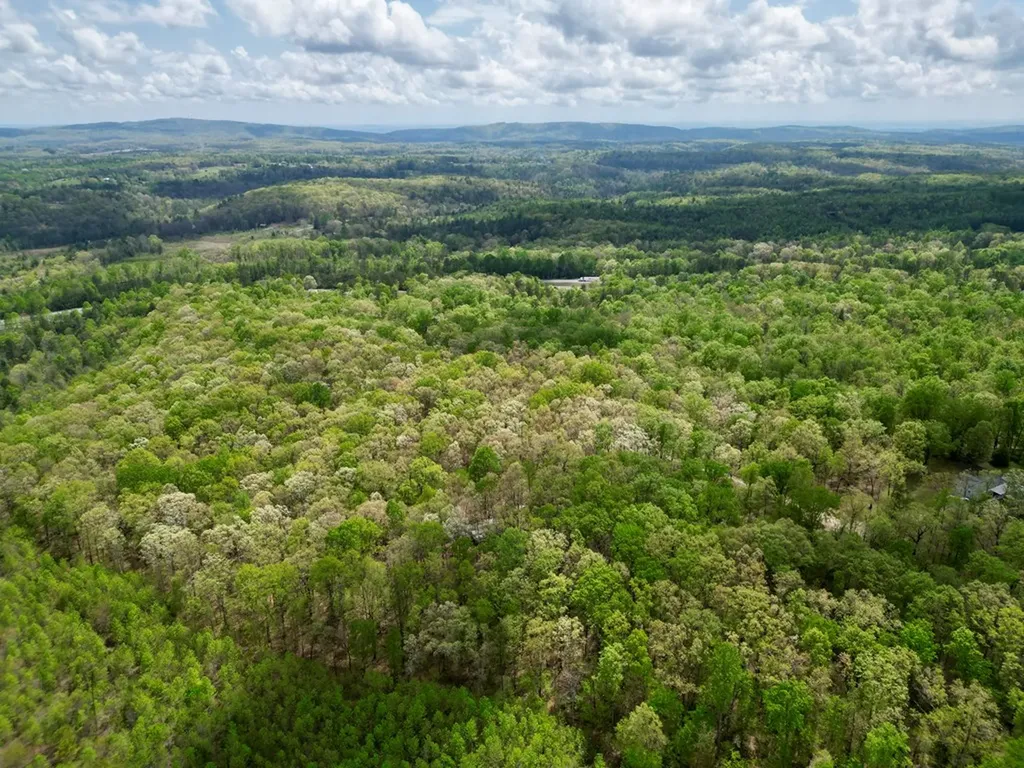 751 Ozone Access Road Rockwood TN 37854