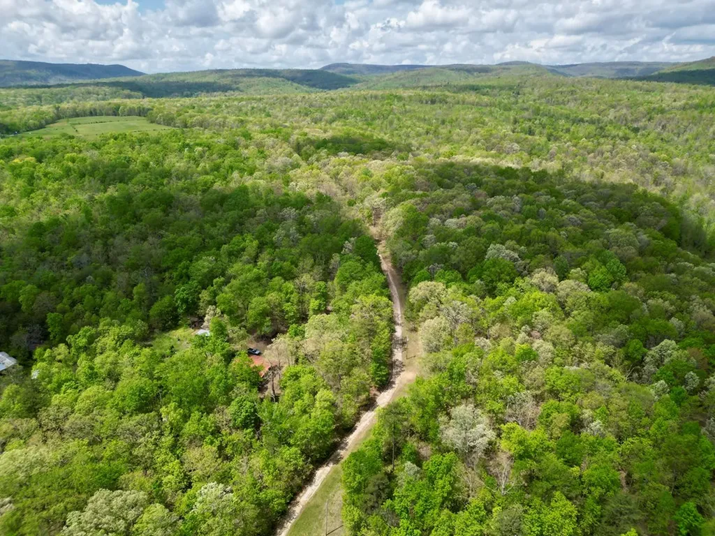 751 Ozone Access Road Rockwood TN 37854