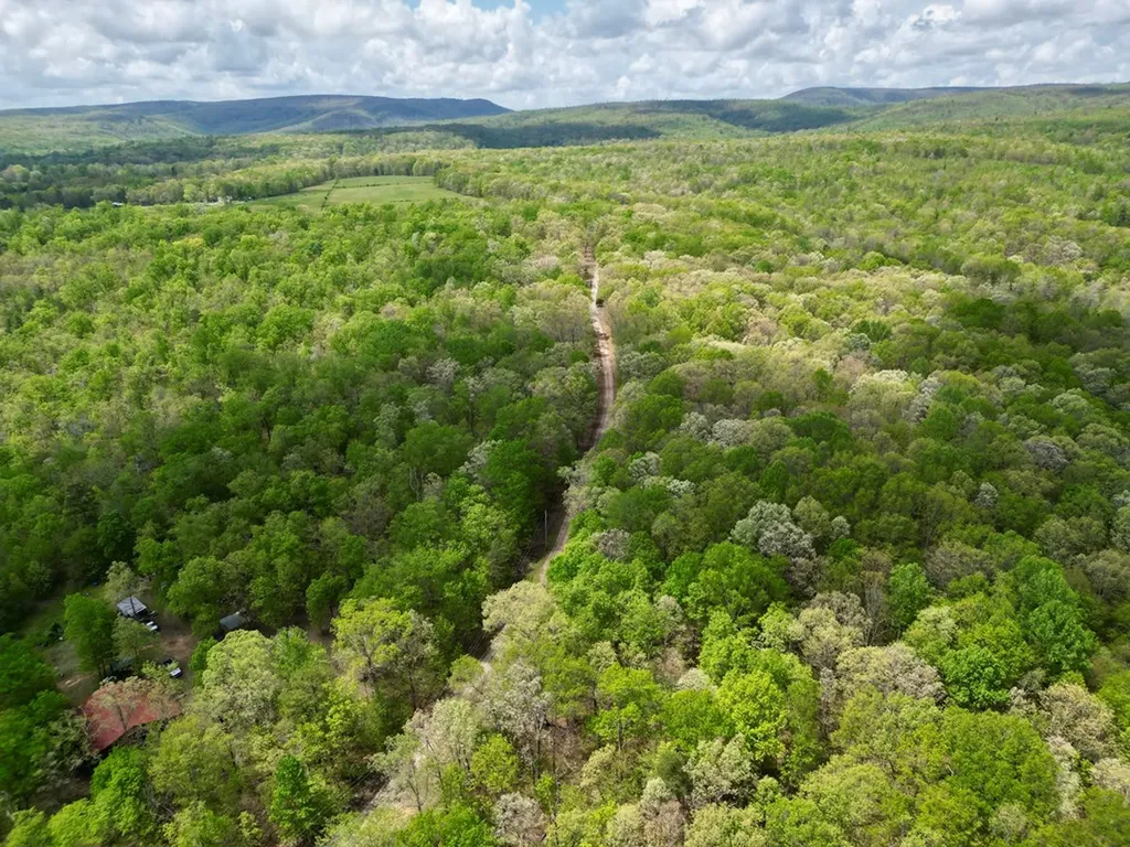 751 Ozone Access Road Rockwood TN 37854