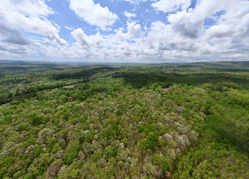 751 Ozone Access Road Rockwood TN 37854