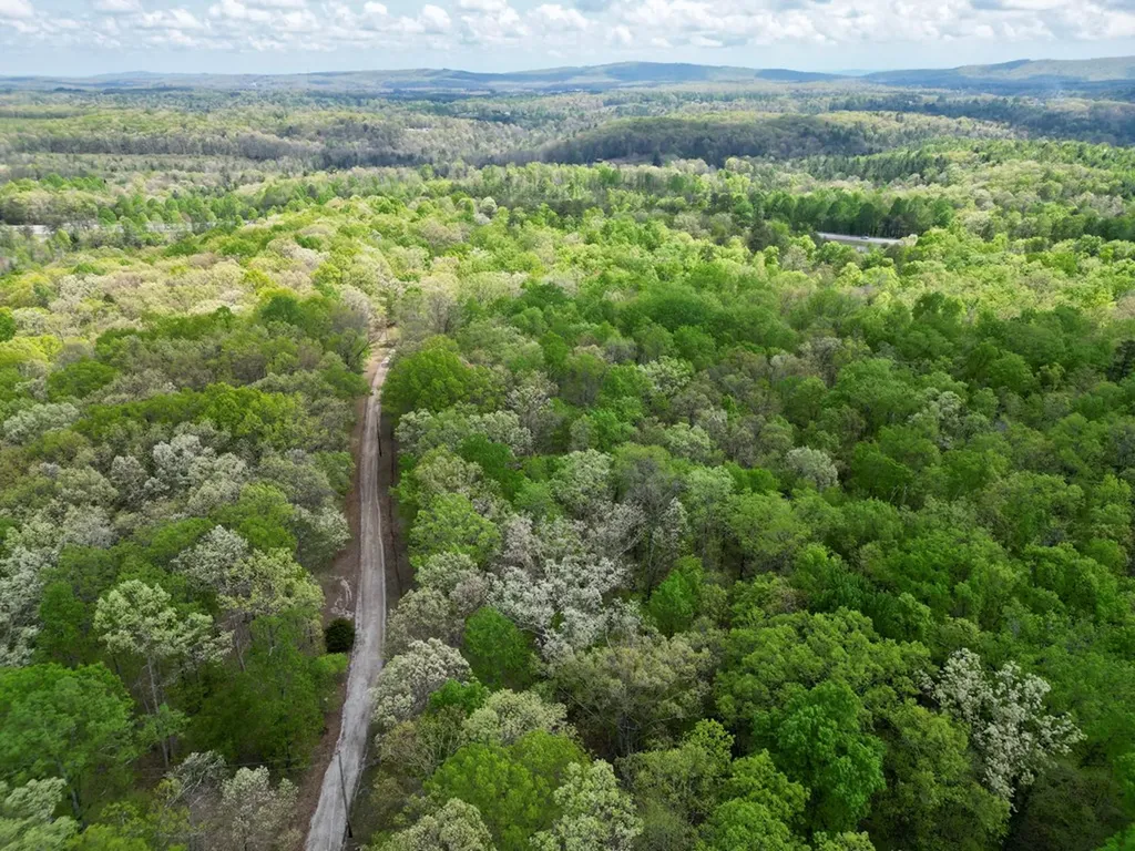 751 Ozone Access Road Rockwood TN 37854