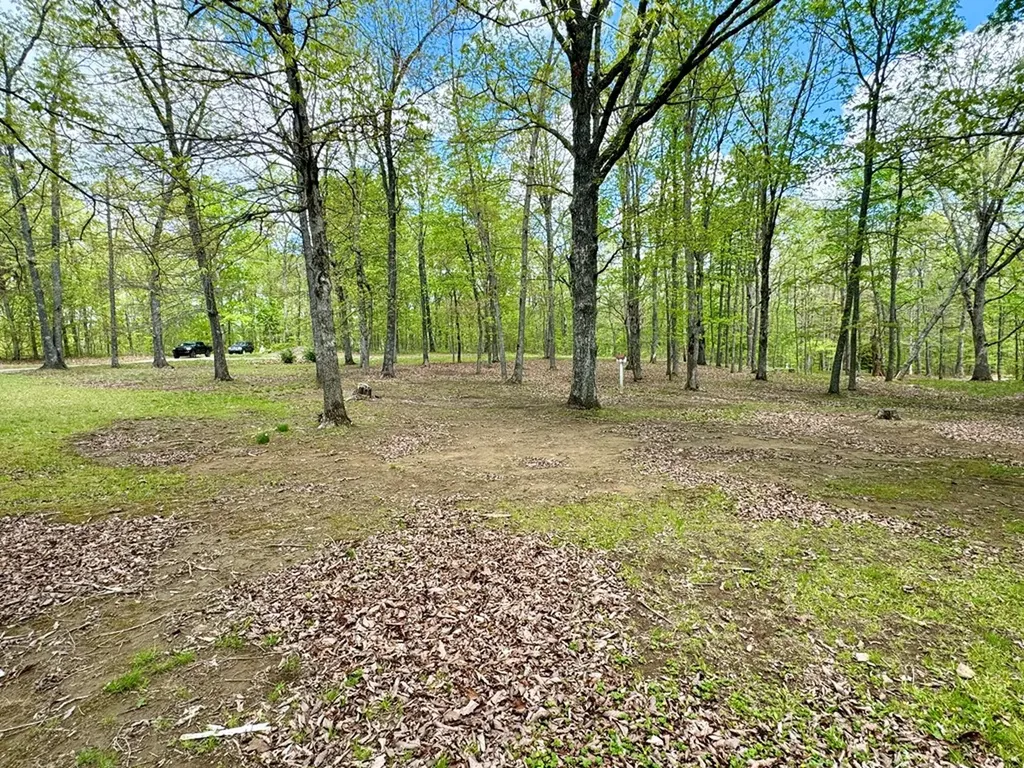 751 Ozone Access Road Rockwood TN 37854