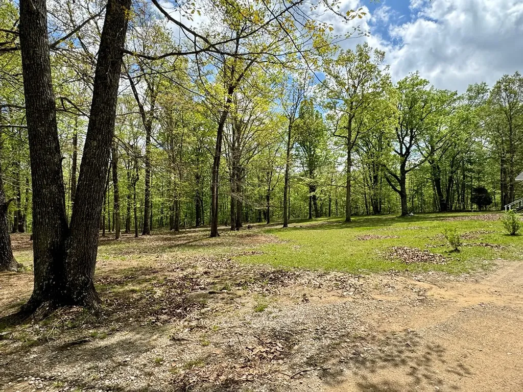 751 Ozone Access Road Rockwood TN 37854