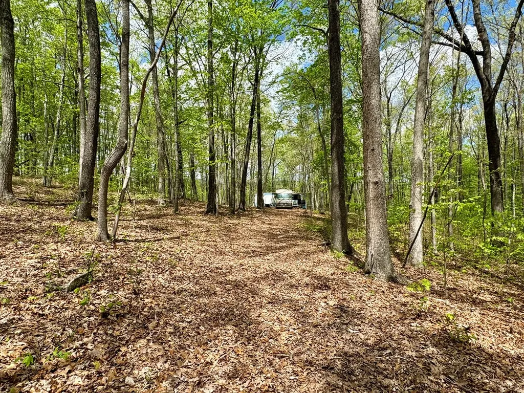 751 Ozone Access Road Rockwood TN 37854