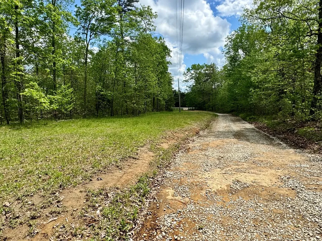751 Ozone Access Road Rockwood TN 37854
