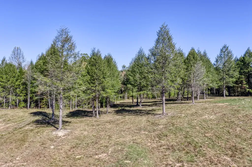 4832 Lovejoy Road Crawford TN 38554
