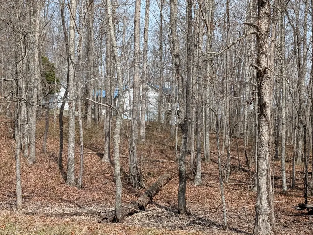 446 E Cove Road Monterey TN 38574