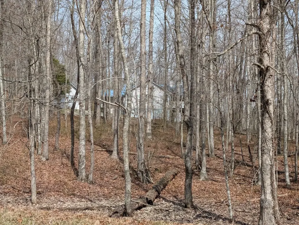 446 E Cove Road Monterey TN 38574