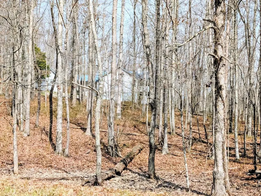 446 E Cove Road Monterey TN 38574