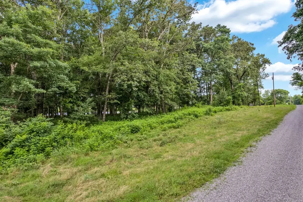 Lot 11 Starlight Road Mcminnville TN 37110