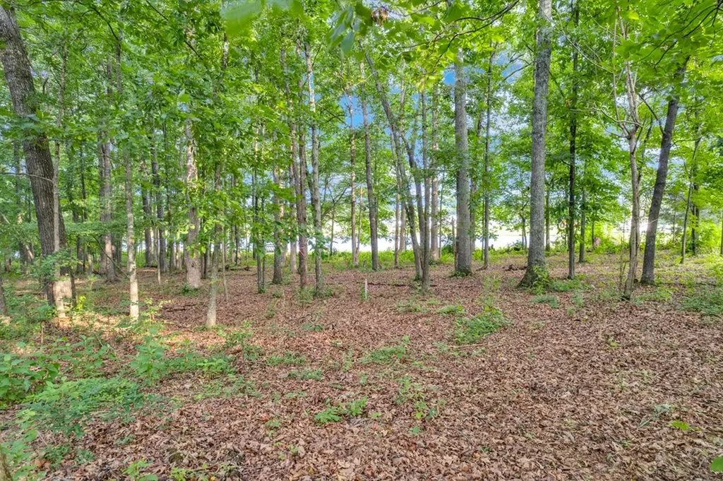 Lot 11 Starlight Road Mcminnville TN 37110
