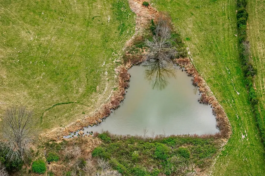 59.56 Ac Marie Lane Red Boiling Springs TN 37150