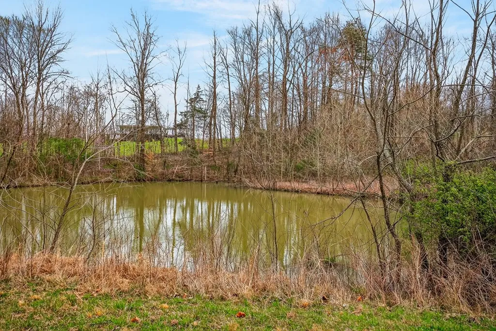 59.56 Ac Marie Lane Red Boiling Springs TN 37150