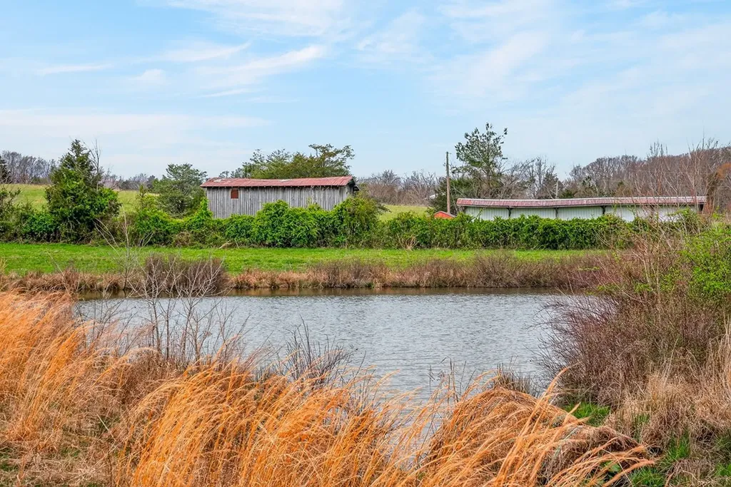 59.56 Ac Marie Lane Red Boiling Springs TN 37150