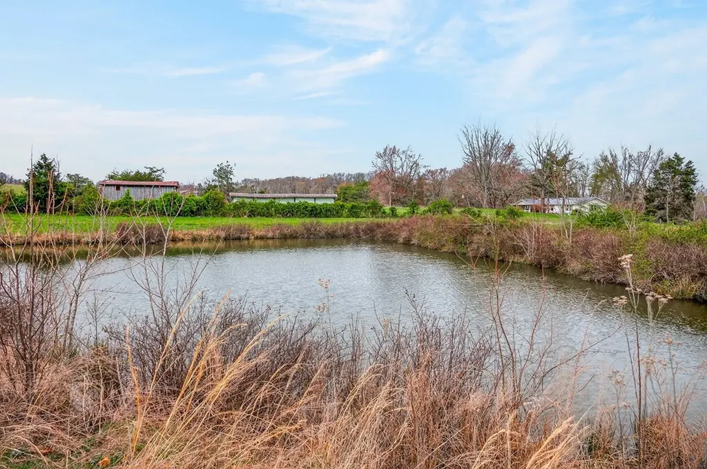 59.56 Ac Marie Lane Red Boiling Springs TN 37150
