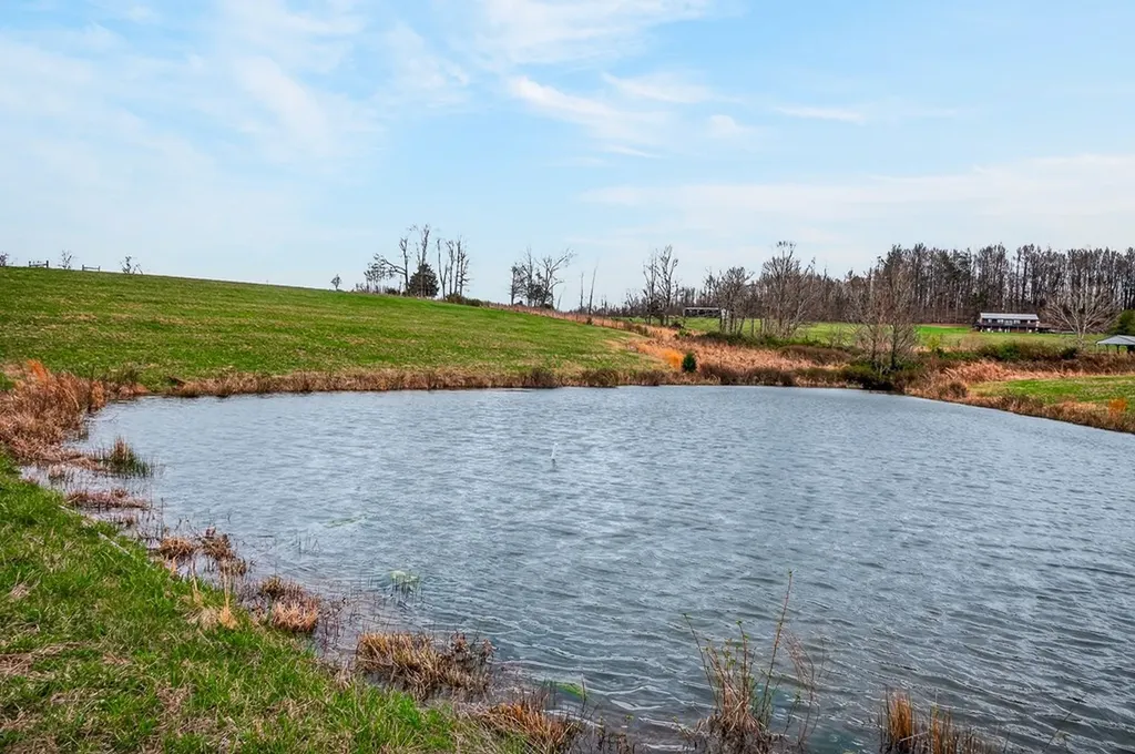 59.56 Ac Marie Lane Red Boiling Springs TN 37150