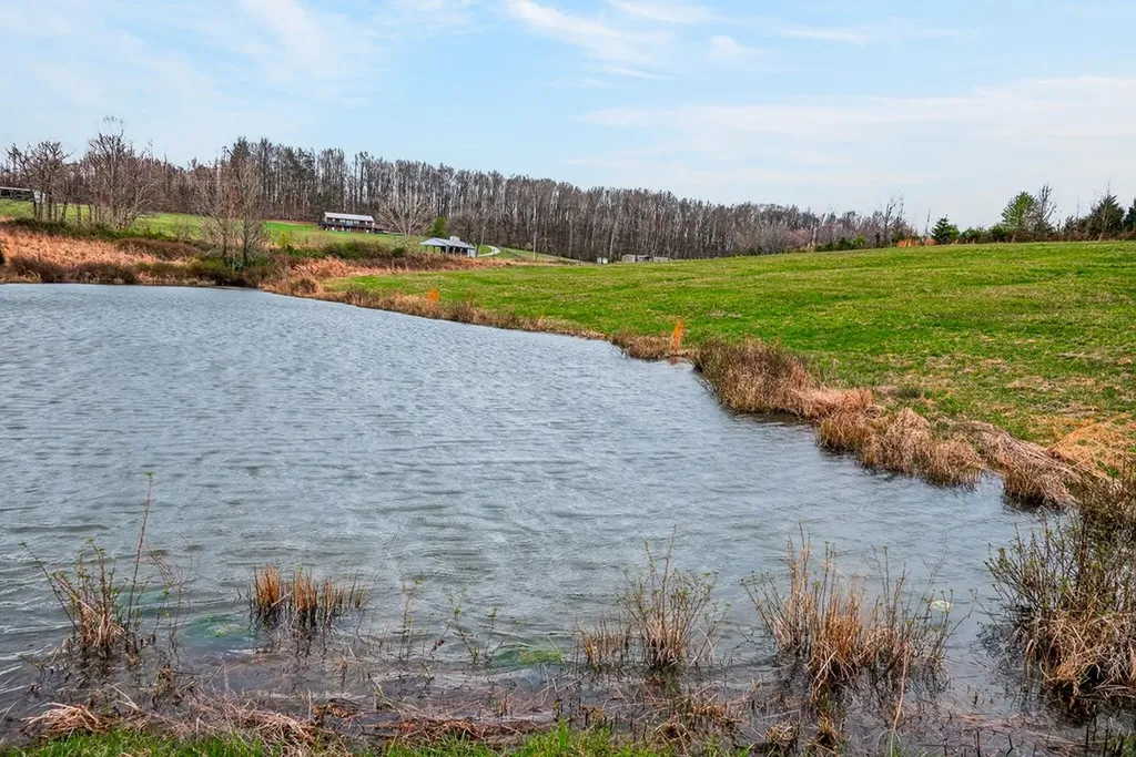 59.56 Ac Marie Lane Red Boiling Springs TN 37150