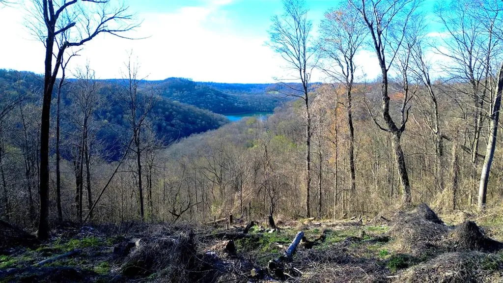0 Lola Drive Smithville TN 37166