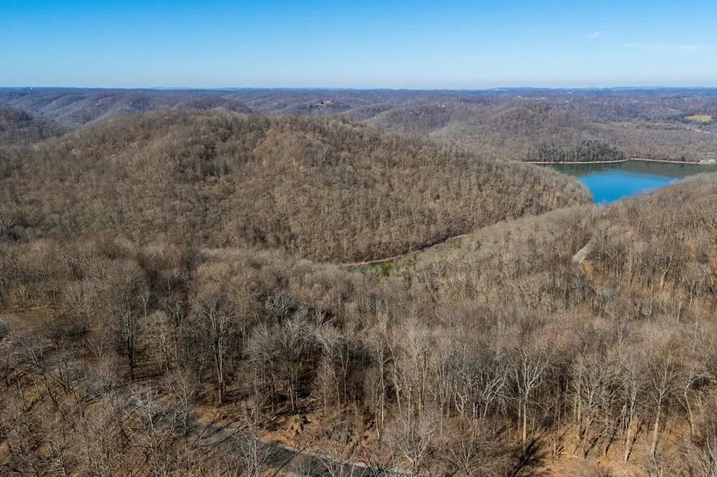 0 Lola Drive Smithville TN 37166