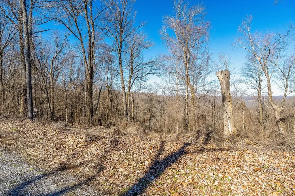 0 Lola Drive Smithville TN 37166
