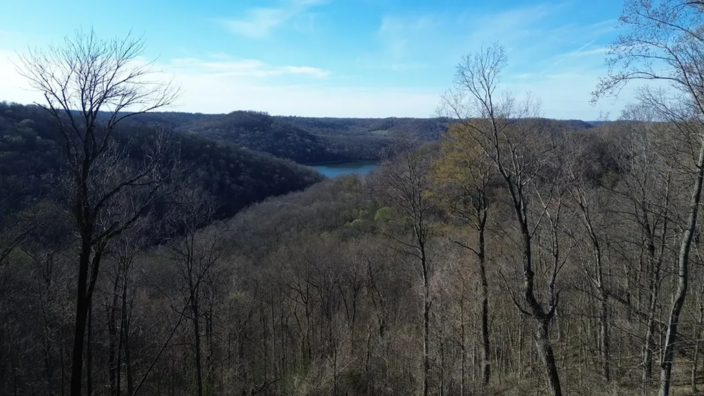 0 Lola Drive Smithville TN 37166