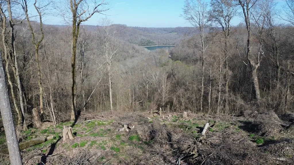 0 Lola Drive Smithville TN 37166