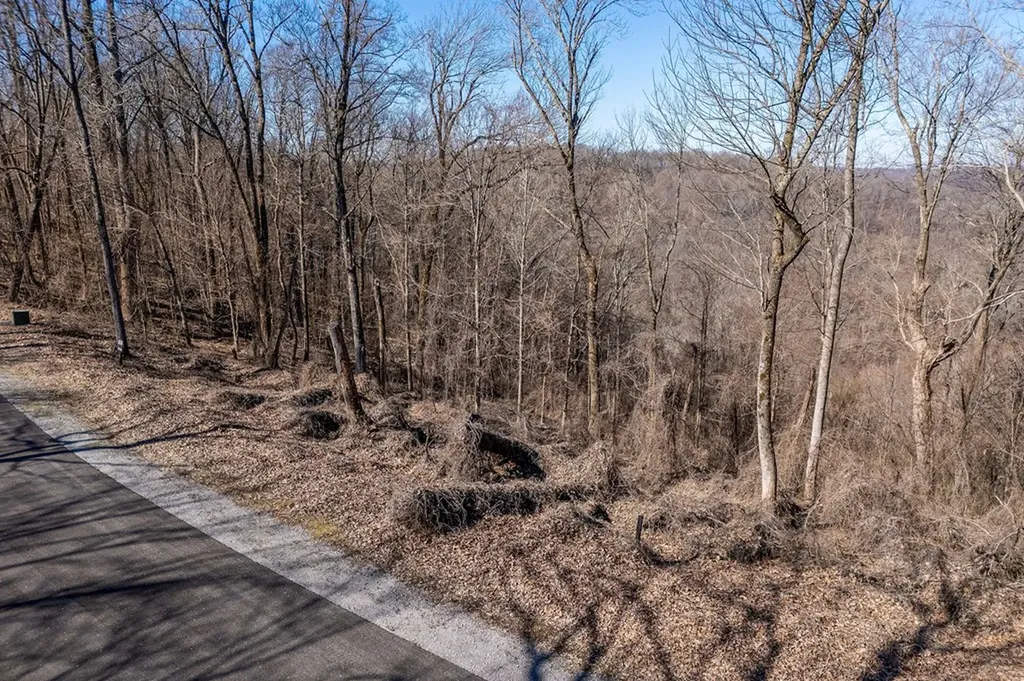 0 Lola Drive Smithville TN 37166
