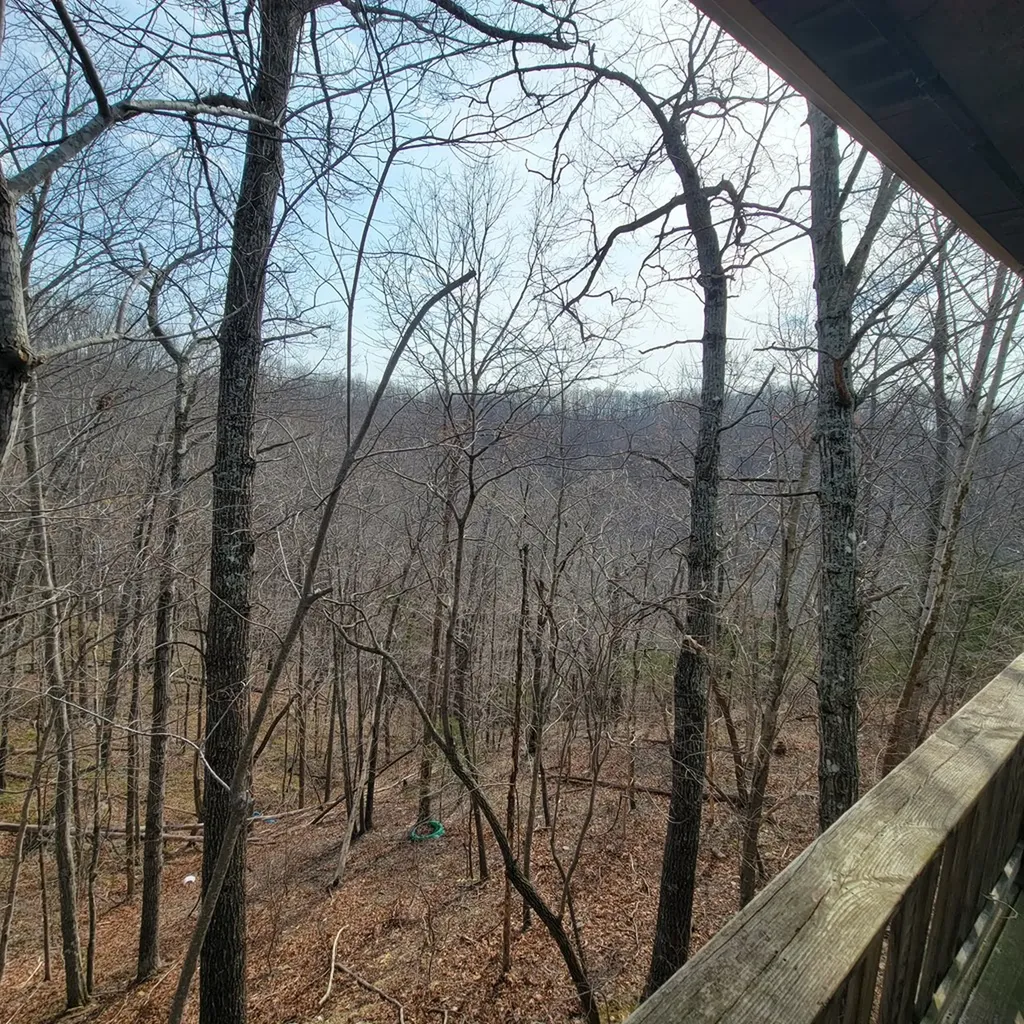 57 Simple Life Road Hilham TN 38568