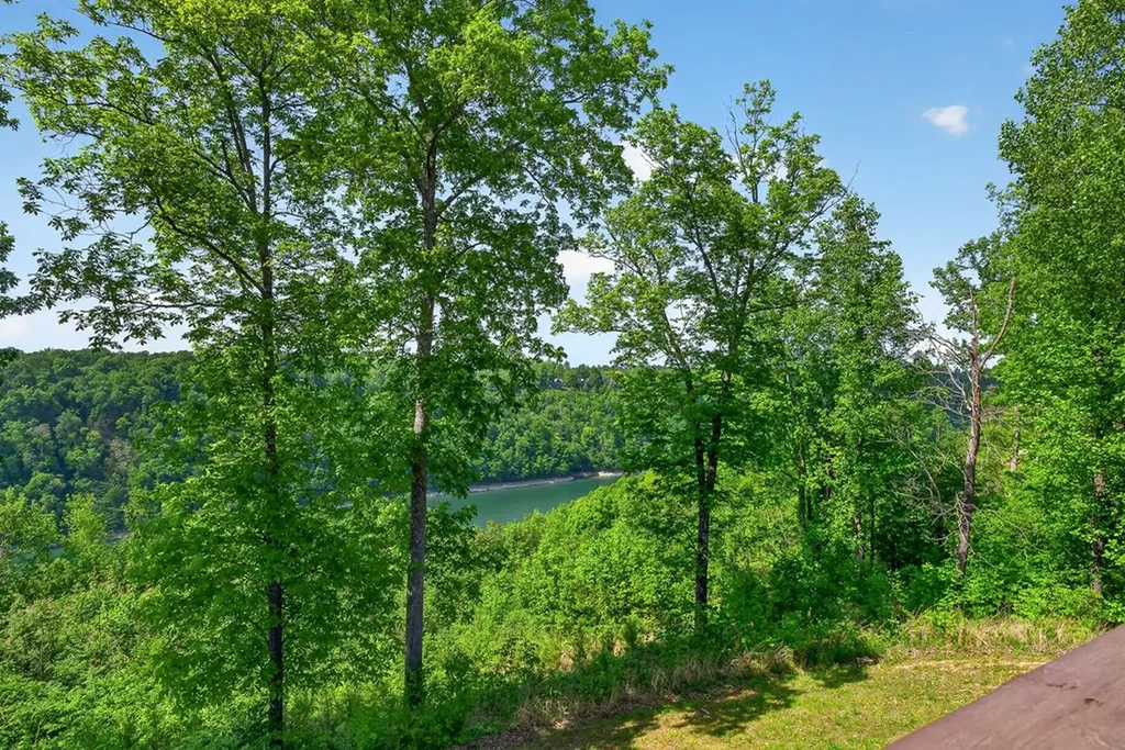 1175 W Hutchins Bend Sparta TN 38583