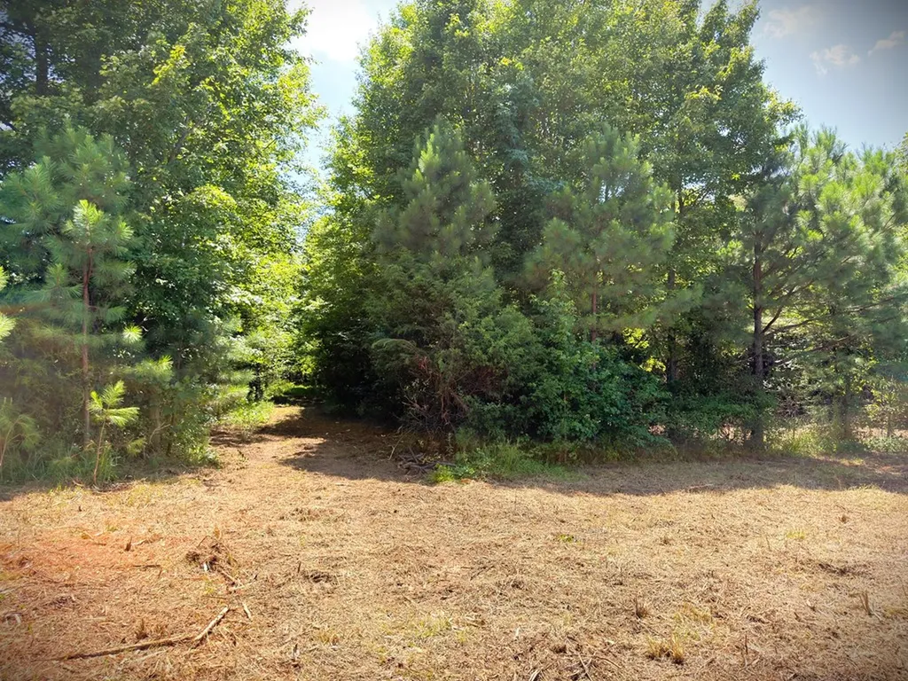 00 Marcrom Road Morrison TN 37357