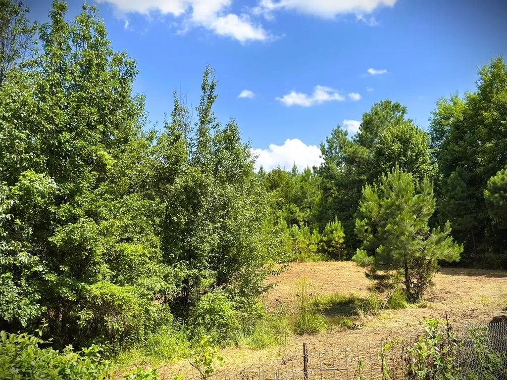 00 Marcrom Road Morrison TN 37357