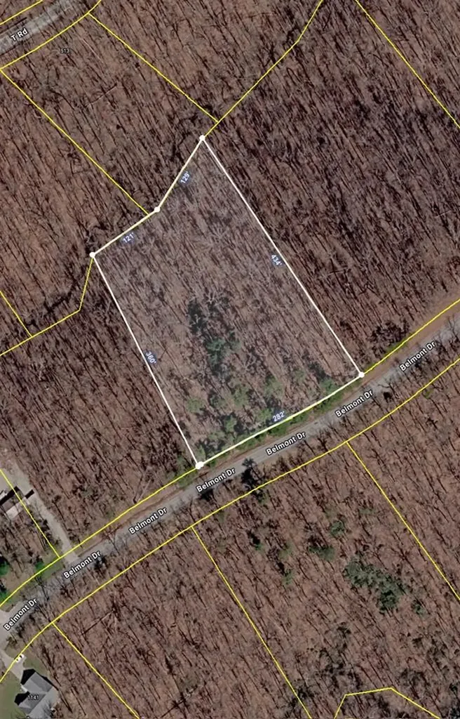 000 Belmont Drive Monterey TN 38574