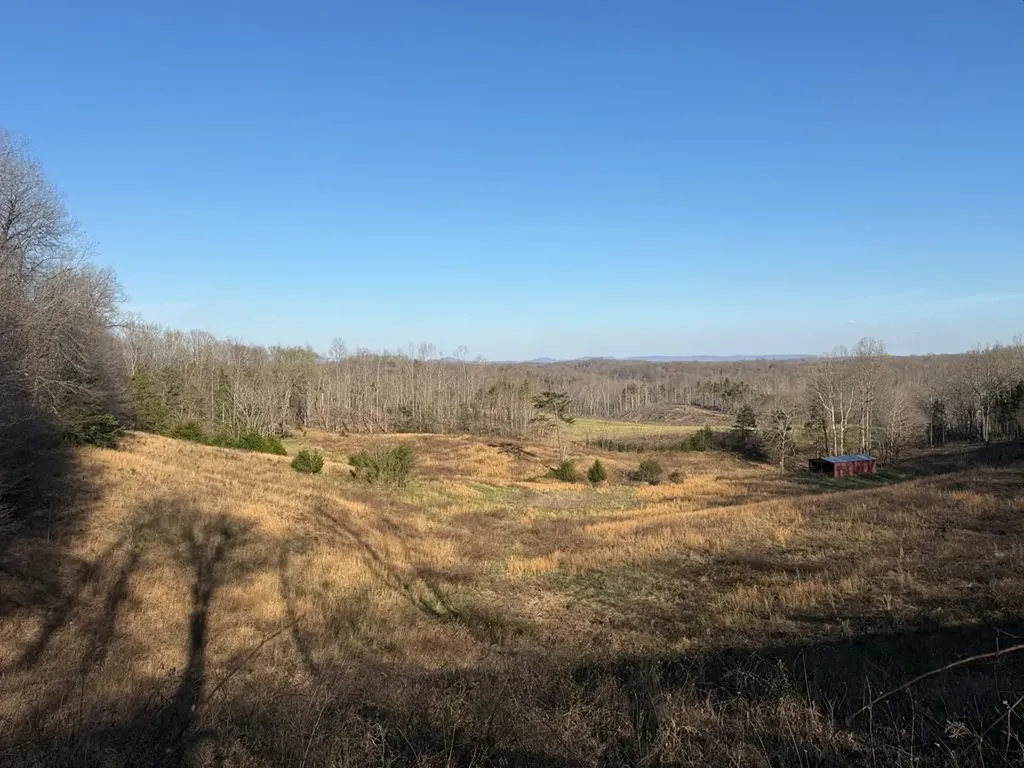 10 Acres Bob Dennings Road Allons TN 38541