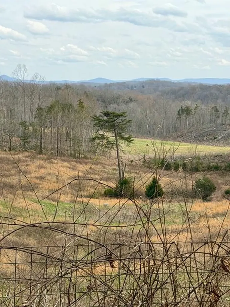 10 Acres Bob Dennings Road Allons TN 38541