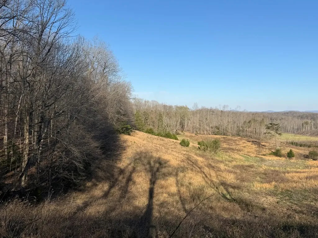 10 Acres Bob Dennings Road Allons TN 38541