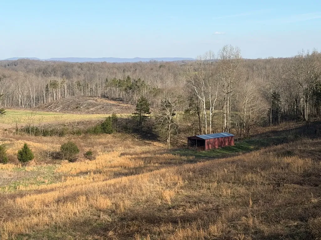 10 Acres Bob Dennings Road Allons TN 38541