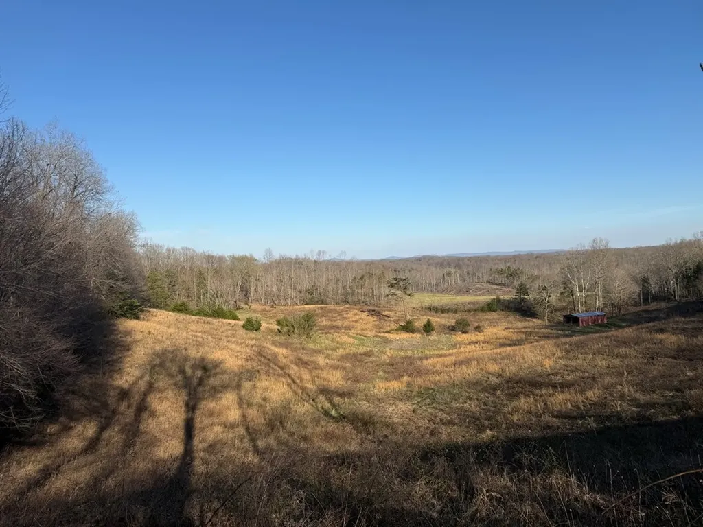 10 Acres Bob Dennings Road Allons TN 38541