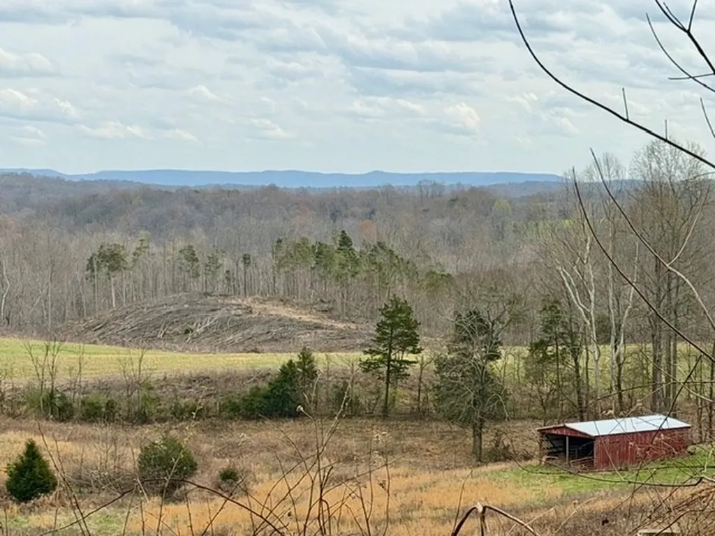 10 Acres Bob Dennings Road Allons TN 38541