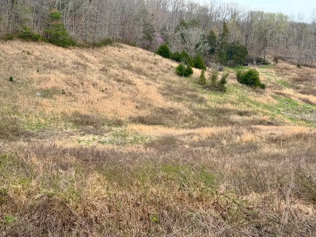 10 Acres Bob Dennings Road Allons TN 38541