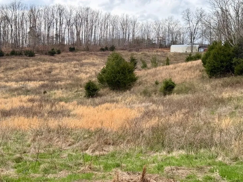 10 Acres Bob Dennings Road Allons TN 38541