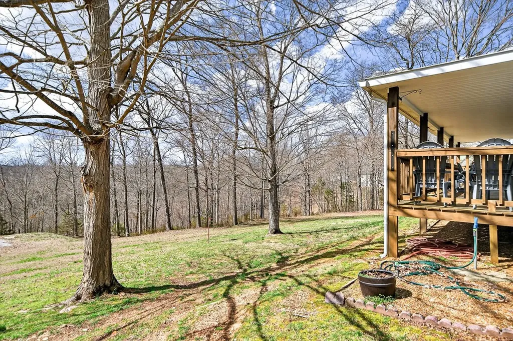 1541 Hassler Loop Byrdstown TN 38549