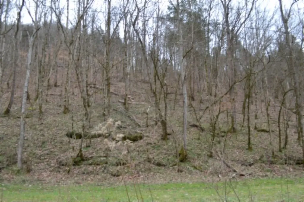 290 Hazel Huffines Lane Whitleyville TN 38588