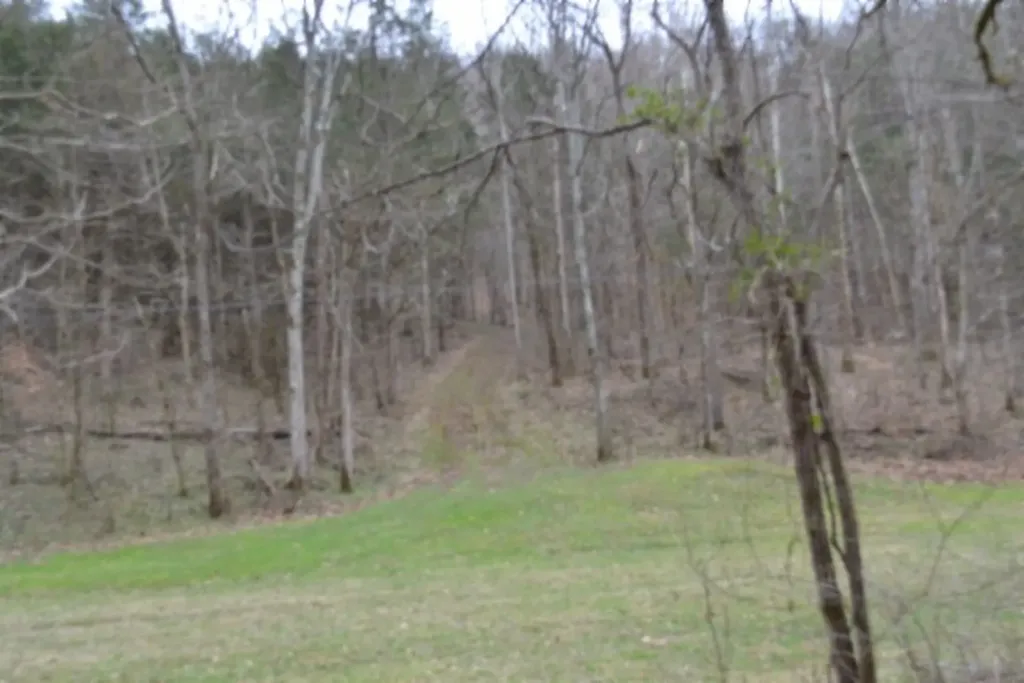 290 Hazel Huffines Lane Whitleyville TN 38588