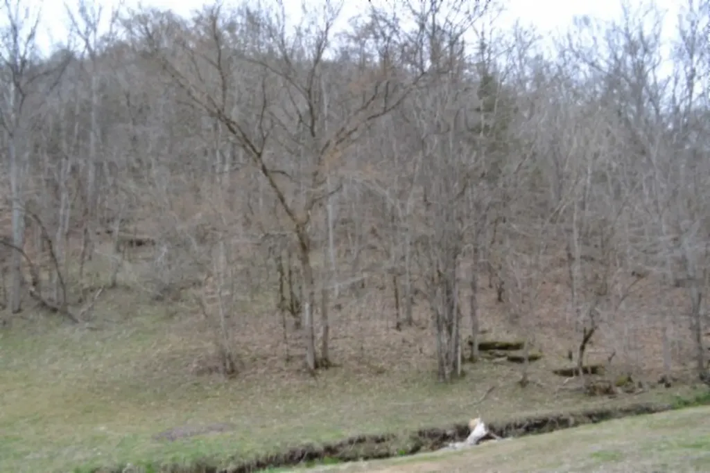 290 Hazel Huffines Lane Whitleyville TN 38588