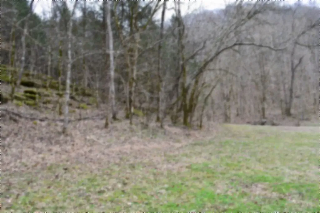 290 Hazel Huffines Lane Whitleyville TN 38588