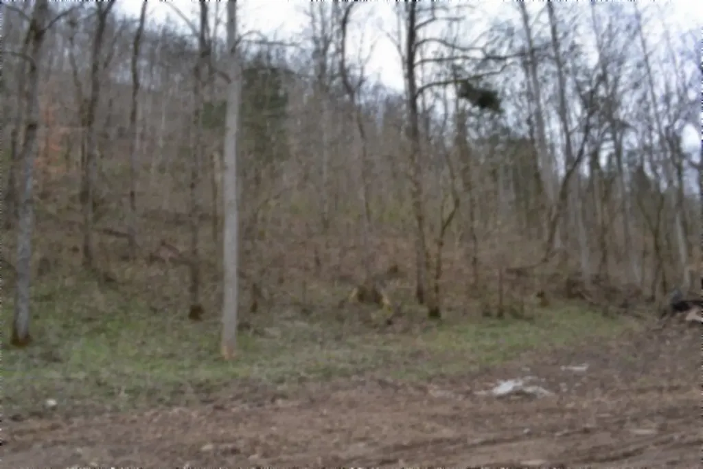 290 Hazel Huffines Lane Whitleyville TN 38588