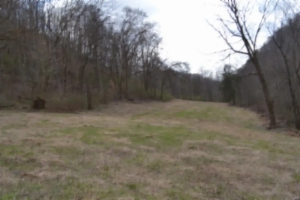 290 Hazel Huffines Lane Whitleyville TN 38588